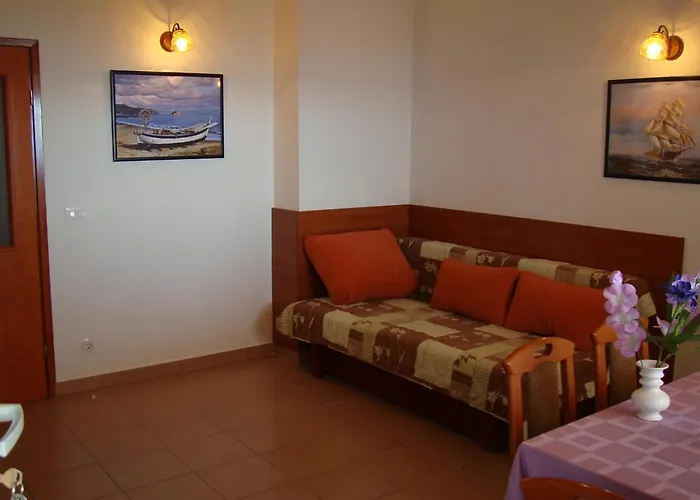 Damir * بيتريتْشاني