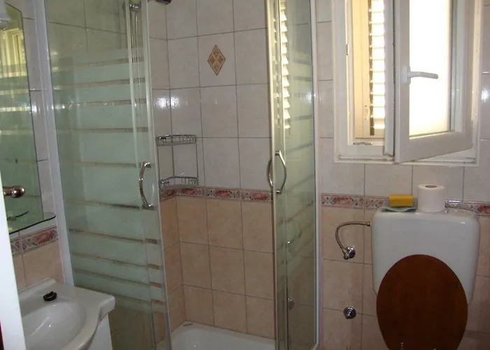 Damir بيتريتْشاني