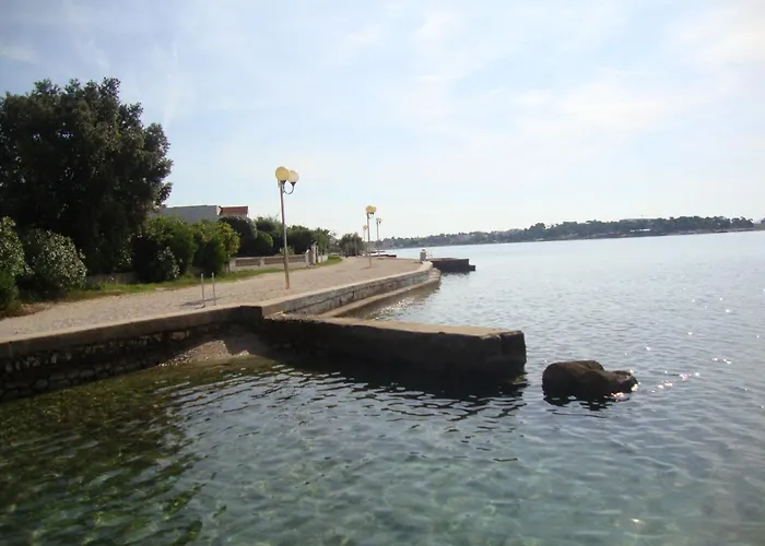 Damir * بيتريتْشاني