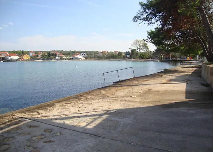 Damir بيتريتْشاني