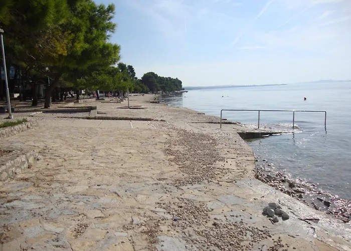 Damir بيتريتْشاني