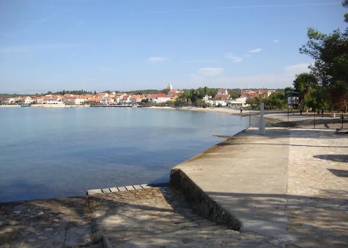 Damir بيتريتْشاني