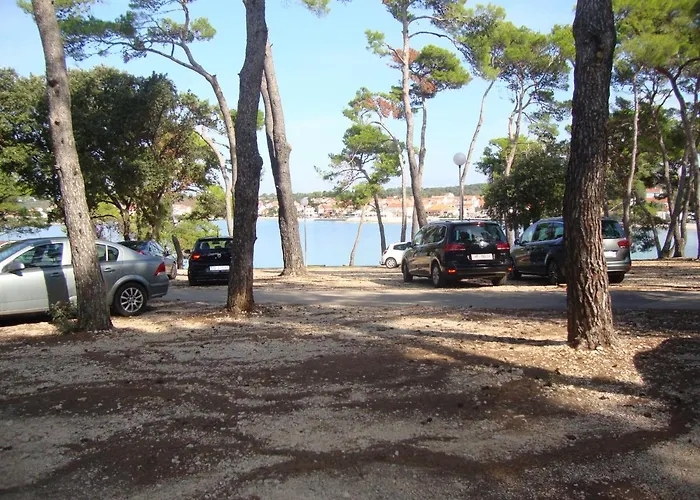 Damir 아파트 *